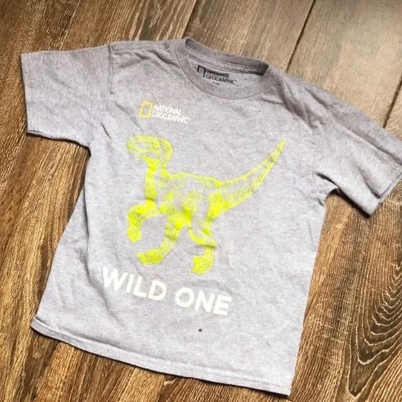 Dinosaur Tshirt 5t | Poshmark